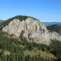 Cohárd